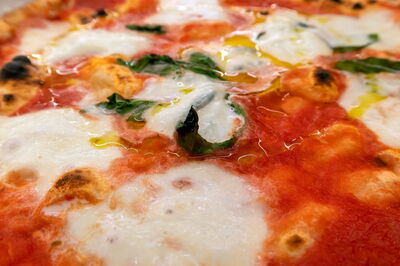 Margherita Pizza