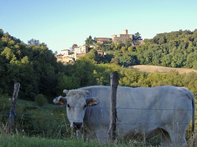 Salsomaggiore Terme