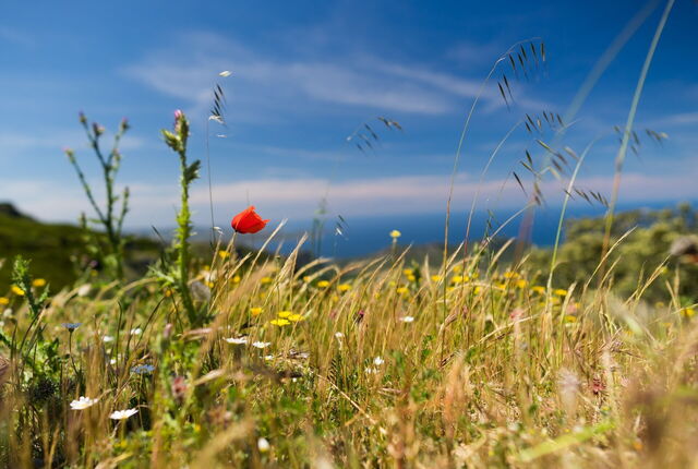 Views in Sardinia