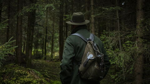 Hiker in the forest