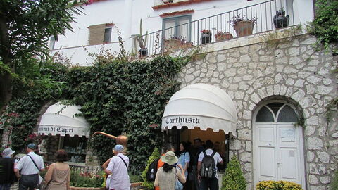 Carthusia laboratory