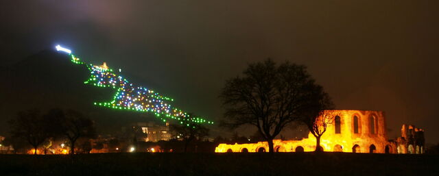 Monte Ingino Christmas Tree