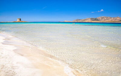 Sands of Spiaggia La Pelosa