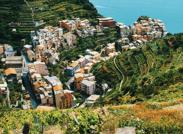 Vineyards along the Cinque Terre