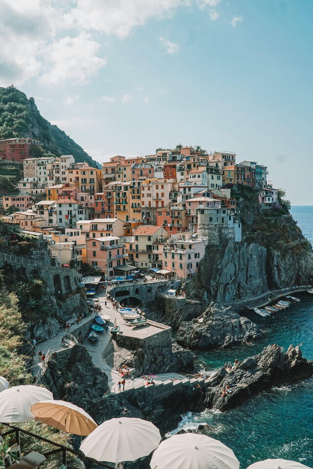 Manarola from above