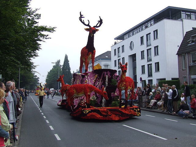 A beautiful flower float