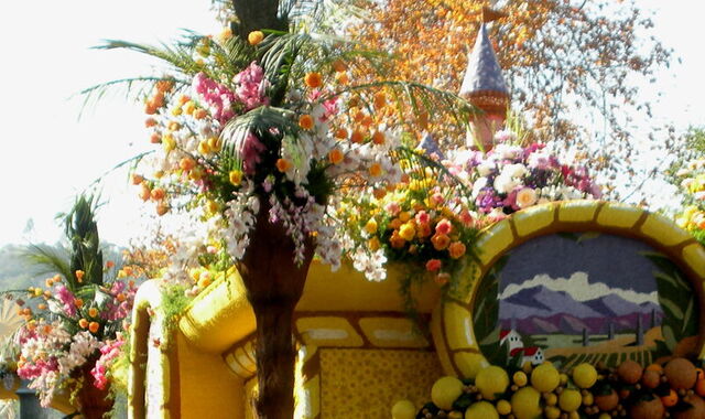 Colourful flower float
