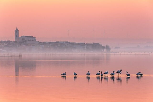 Lake Lesina