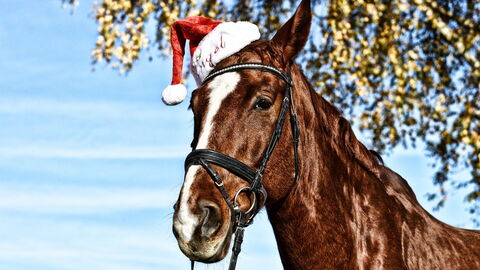 Santa Horse