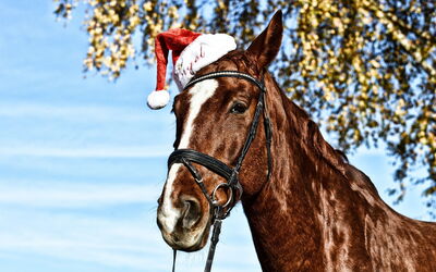 Santa Horse