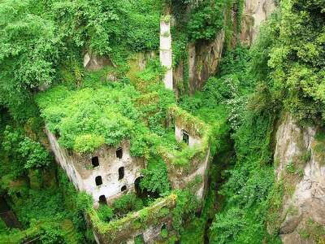 Greenery, Valley of the Mills
