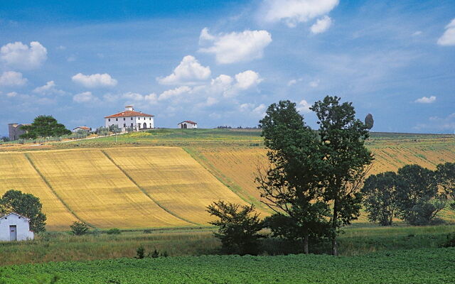 Villa Dei Michelangioli a Brolio