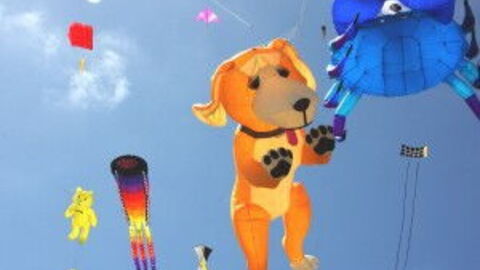 kites