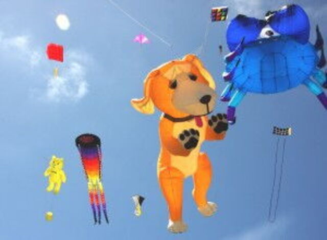 kites