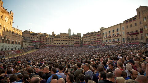 The Palio
