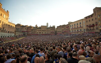 The Palio