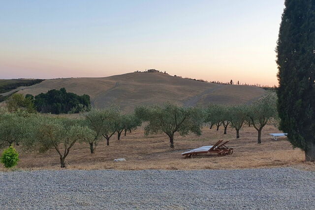 Grove, Casa Insieme