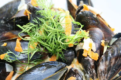 Mussels