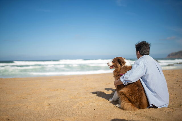 A man and his dog on the beach