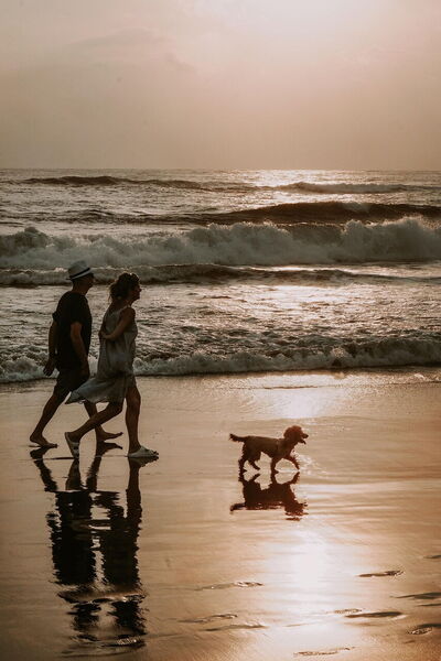 A couple and their dog on the beach
