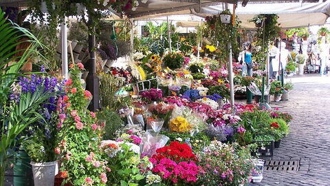 Flowers at Campo De' Fiori