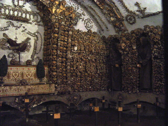 rome's cappuchin crypt