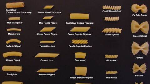 Types of Pasta 1