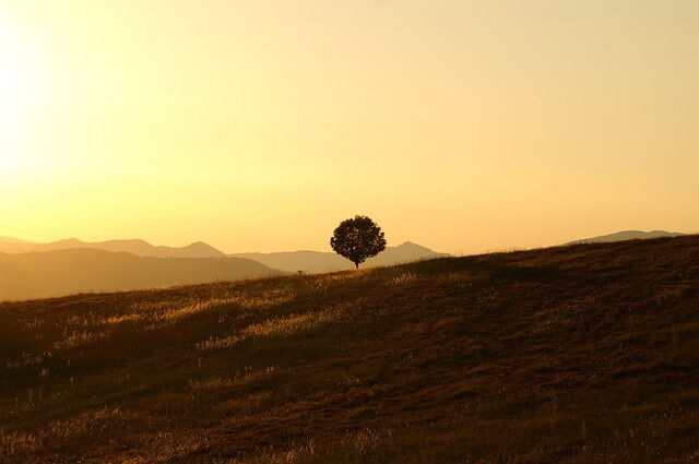 umbria countryside