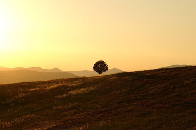 umbria countryside