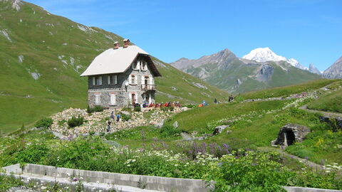 Chanousia Alpine Botanical Garden