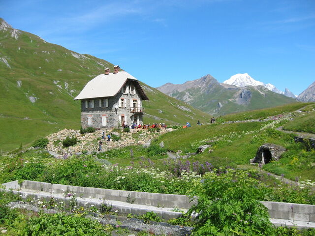 Chanousia Alpine Botanical Garden