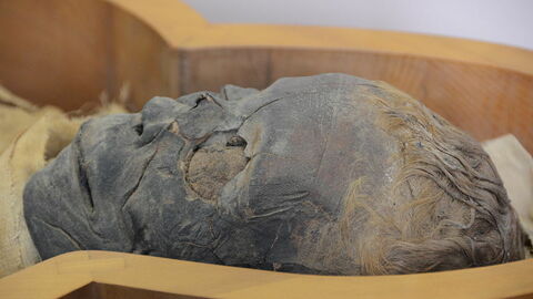Male mummy, Vatican Museum