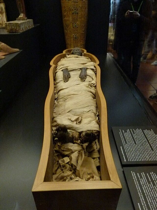A mummy in the Egyptian Museum