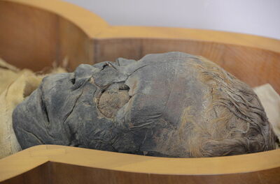 Male mummy, Vatican Museum