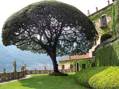 Where the iconic Star Wars scene was filmed