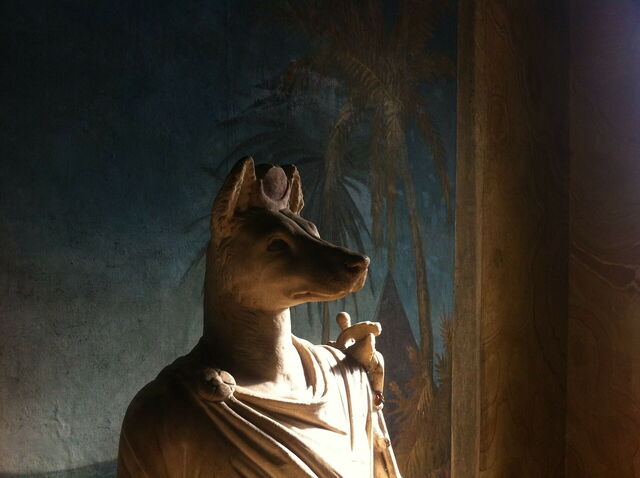 Anubis