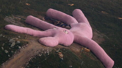 Giant Pink Bunny, Colletto Fava