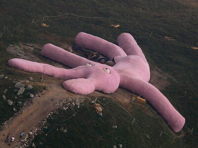 Giant Pink Bunny, Colletto Fava