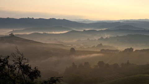 Sunrise in Piedmont