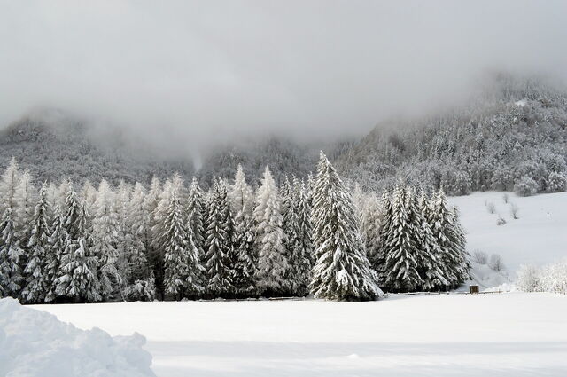 Snow in the Alps