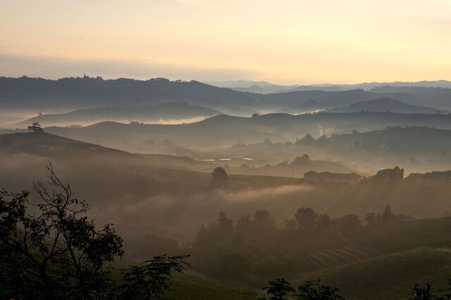 Sunrise in Piedmont
