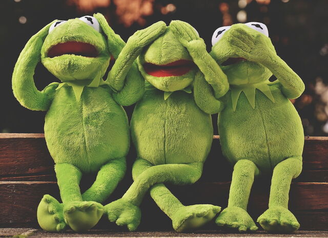 Kermits