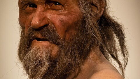 Imagining of how Otzi looked in life