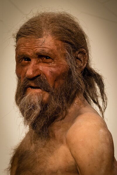 Imagining of how Otzi looked in life