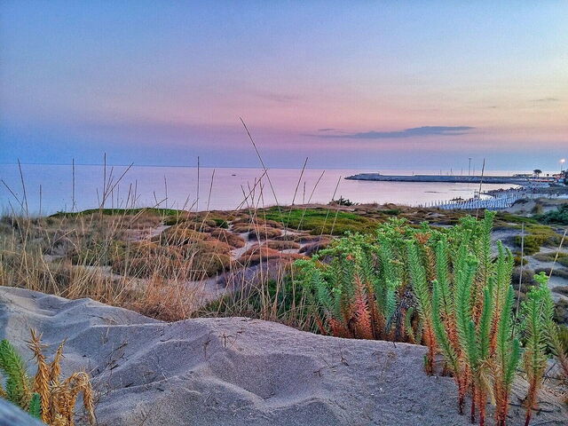 Campomarino, view