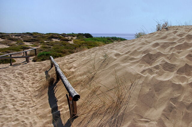 Dunes of Campomarino