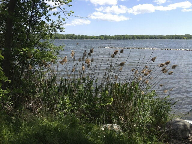 View at Syracuse