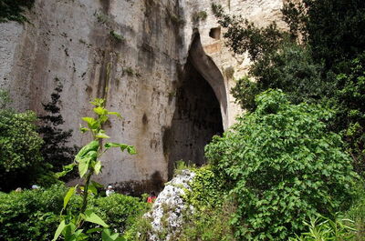 Ear of Dionysius, exterior