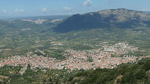 Oliena town