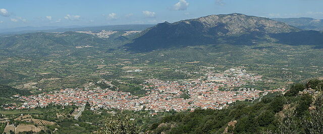 Oliena town